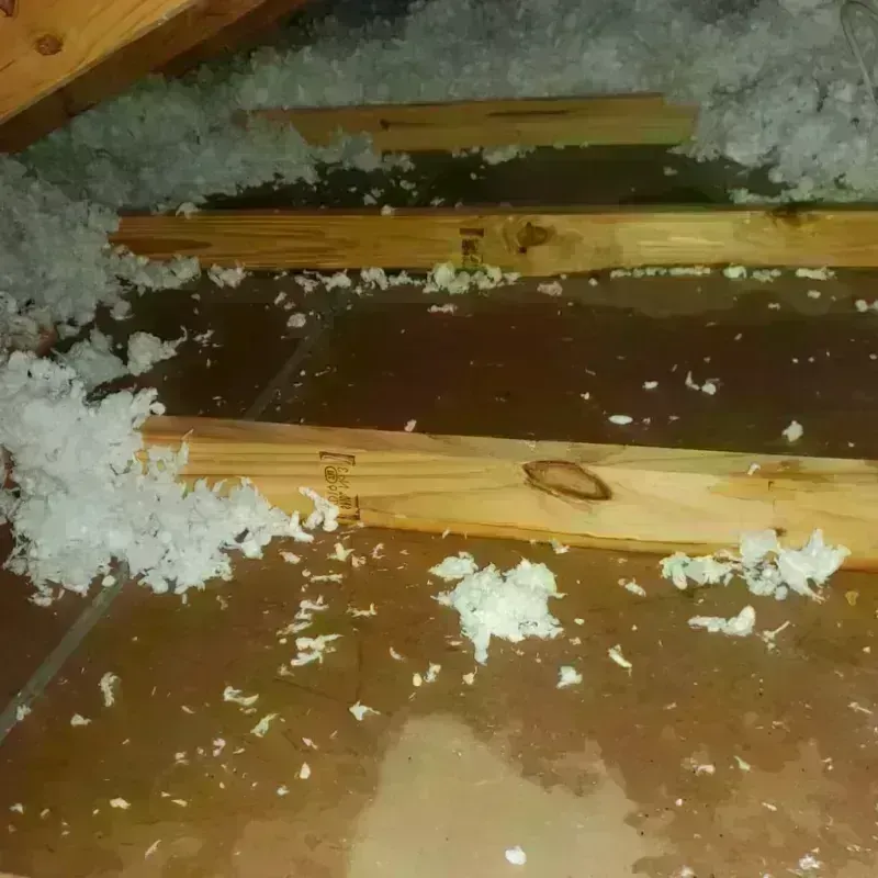 Attic Water Damage in Ritzville, WA